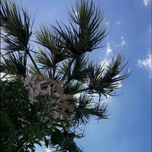 Meet your Posher, Makenzie